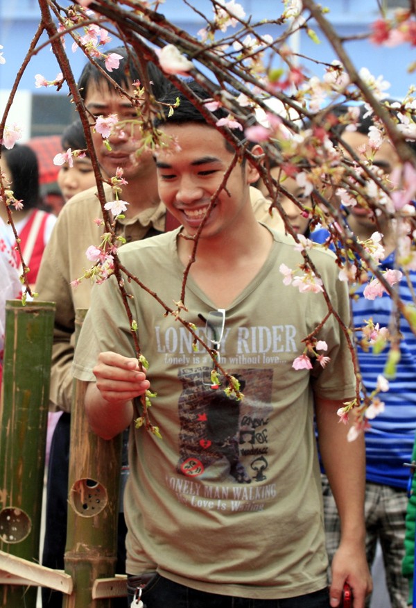 Hình ảnh thường thấy trong các lễ hội hoa anh đào diễn ra ở Hà Nội thời gian gần đây
